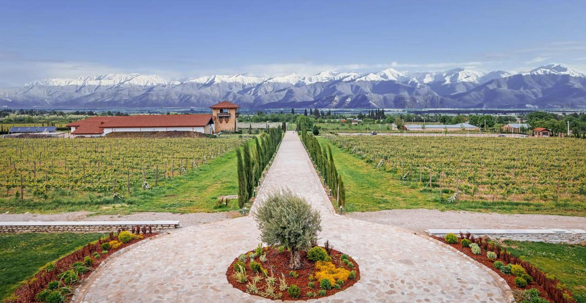 Château Mosmieri Hotel&Winery Telavi Extérieur photo